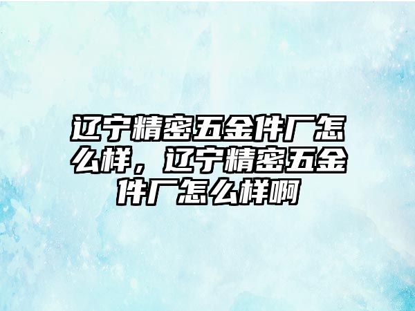 遼寧精密五金件廠怎么樣，遼寧精密五金件廠怎么樣啊