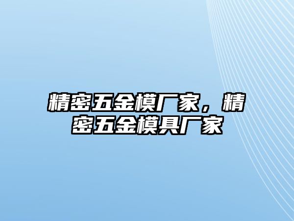 精密五金模廠家，精密五金模具廠家