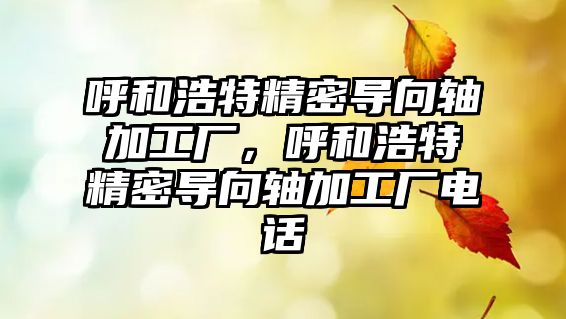 呼和浩特精密導向軸加工廠，呼和浩特精密導向軸加工廠電話