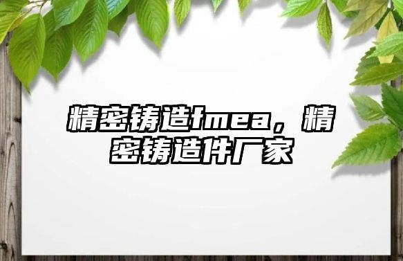 精密鑄造fmea，精密鑄造件廠家