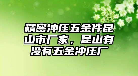 精密沖壓五金件昆山市廠家，昆山有沒有五金沖壓廠