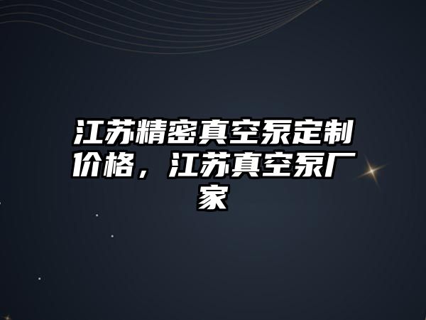 江蘇精密真空泵定制價格，江蘇真空泵廠家