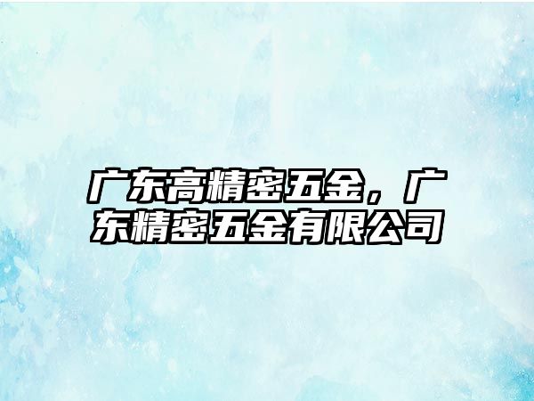 廣東高精密五金，廣東精密五金有限公司