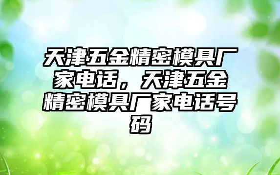 天津五金精密模具廠家電話，天津五金精密模具廠家電話號(hào)碼