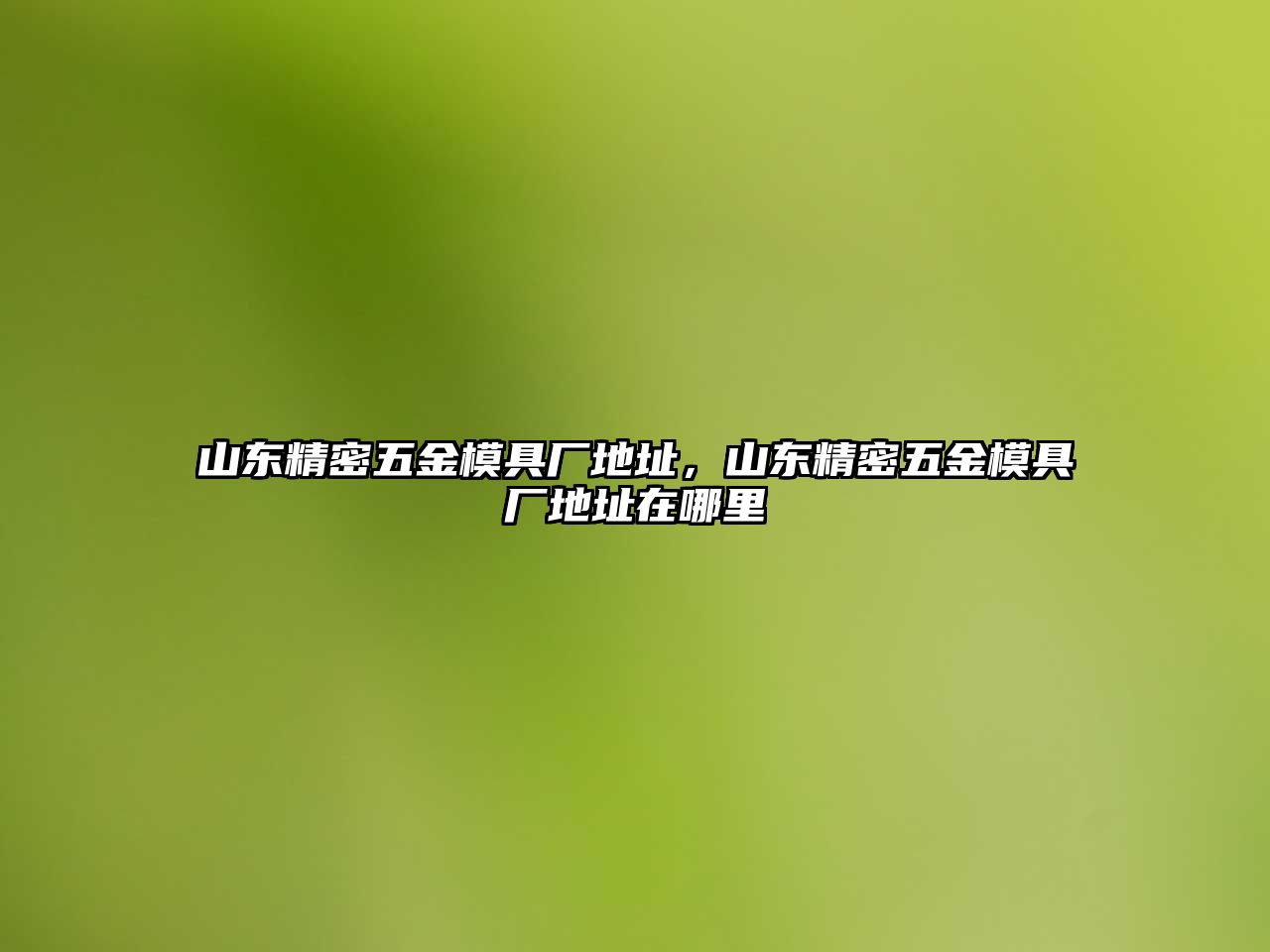 山東精密五金模具廠地址，山東精密五金模具廠地址在哪里