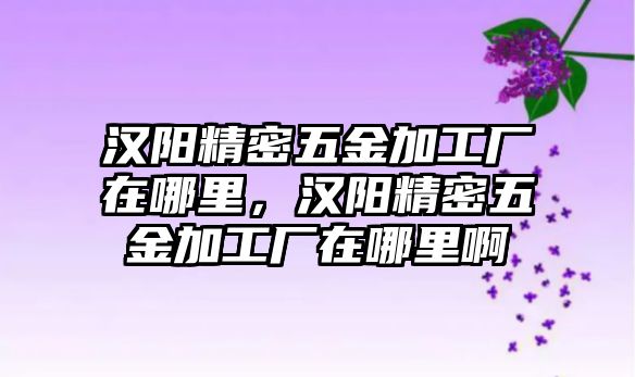 漢陽(yáng)精密五金加工廠在哪里，漢陽(yáng)精密五金加工廠在哪里啊