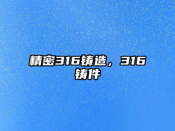 精密316鑄造，316鑄件