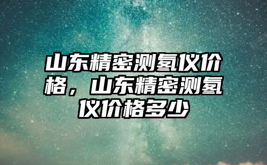 山東精密測氡儀價格，山東精密測氡儀價格多少