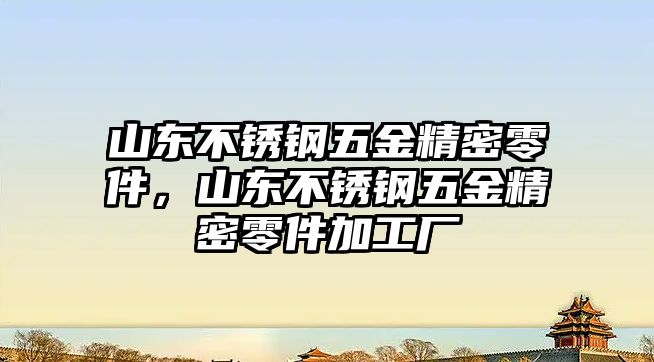 山東不銹鋼五金精密零件，山東不銹鋼五金精密零件加工廠