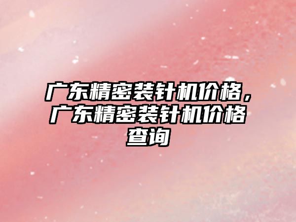 廣東精密裝針機價格，廣東精密裝針機價格查詢