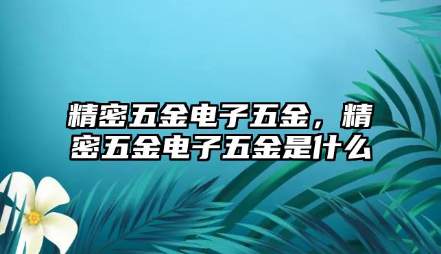 精密五金電子五金，精密五金電子五金是什么