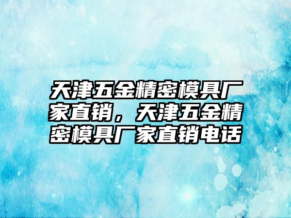 天津五金精密模具廠家直銷，天津五金精密模具廠家直銷電話