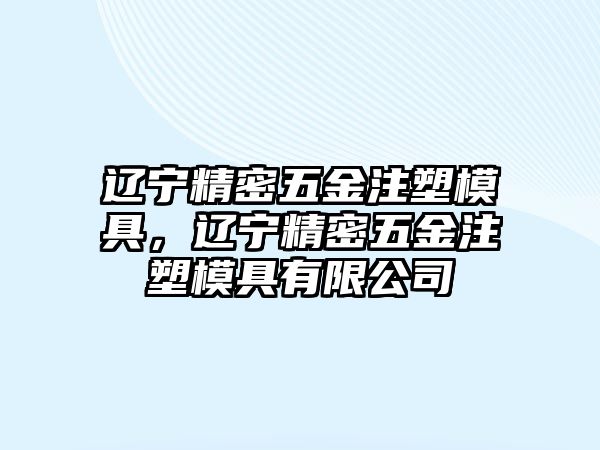 遼寧精密五金注塑模具，遼寧精密五金注塑模具有限公司