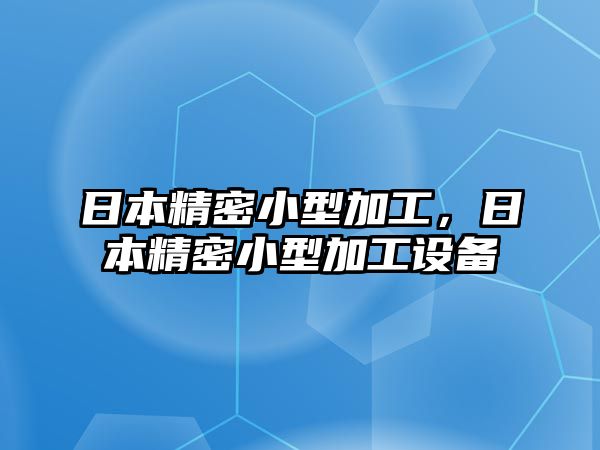 日本精密小型加工，日本精密小型加工設備