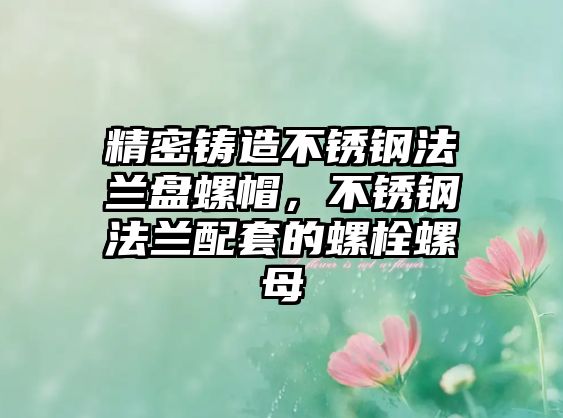 精密鑄造不銹鋼法蘭盤螺帽，不銹鋼法蘭配套的螺栓螺母