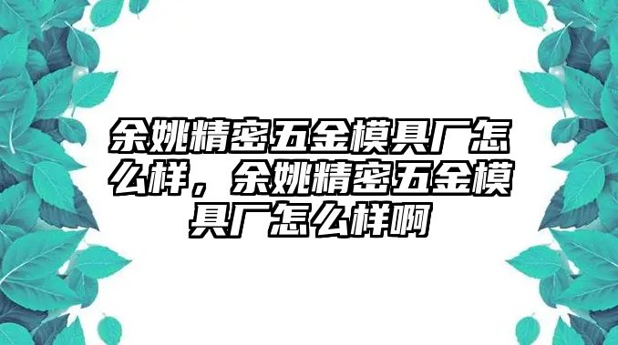 余姚精密五金模具廠怎么樣，余姚精密五金模具廠怎么樣啊