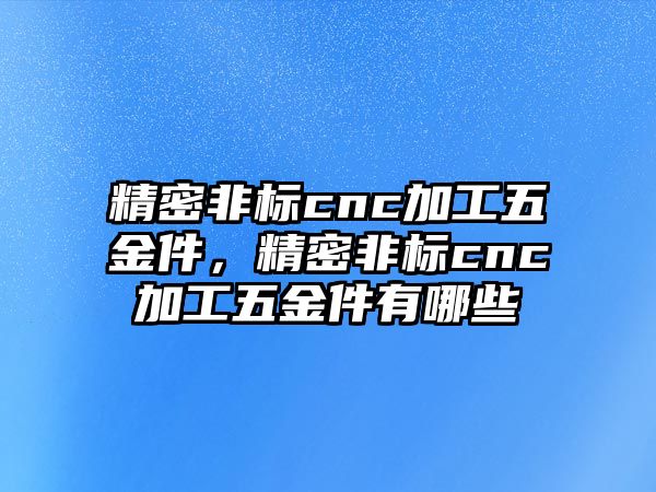 精密非標cnc加工五金件，精密非標cnc加工五金件有哪些