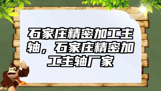 石家莊精密加工主軸，石家莊精密加工主軸廠家