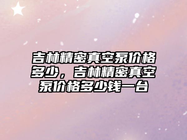 吉林精密真空泵價格多少，吉林精密真空泵價格多少錢一臺