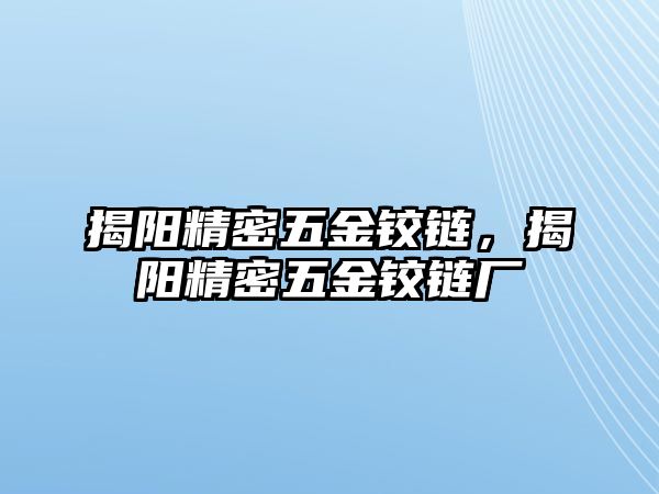 揭陽(yáng)精密五金鉸鏈，揭陽(yáng)精密五金鉸鏈廠