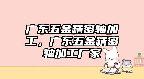 廣東五金精密軸加工，廣東五金精密軸加工廠家