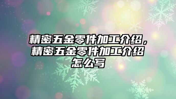 精密五金零件加工介紹，精密五金零件加工介紹怎么寫