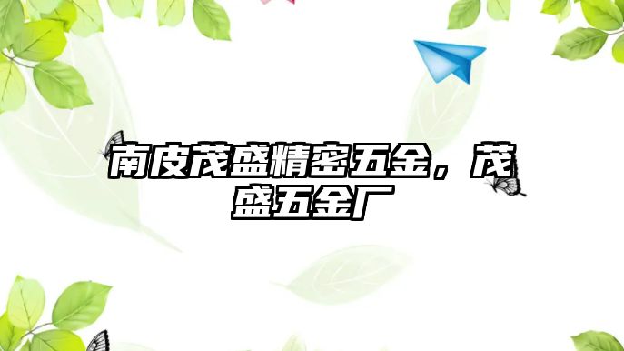 南皮茂盛精密五金，茂盛五金廠