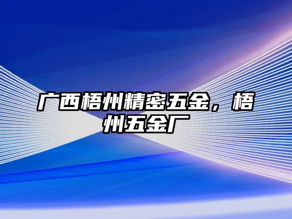 廣西梧州精密五金，梧州五金廠