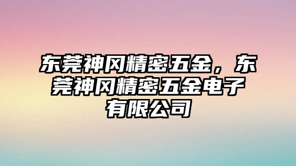 東莞神岡精密五金，東莞神岡精密五金電子有限公司