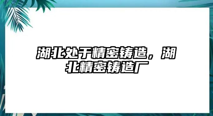 湖北處于精密鑄造，湖北精密鑄造廠(chǎng)