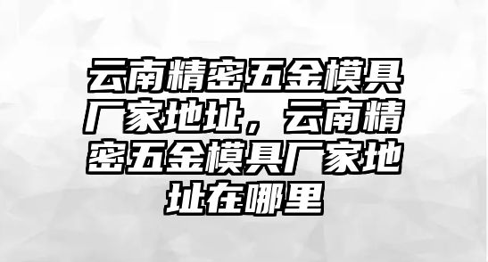 云南精密五金模具廠家地址，云南精密五金模具廠家地址在哪里