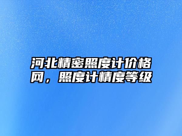 河北精密照度計價格網(wǎng)，照度計精度等級