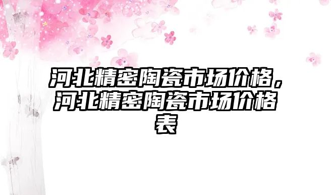 河北精密陶瓷市場價格，河北精密陶瓷市場價格表