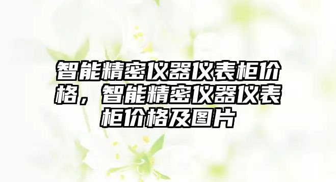 智能精密儀器儀表柜價(jià)格，智能精密儀器儀表柜價(jià)格及圖片