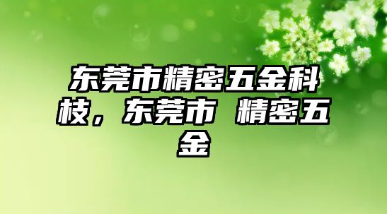 東莞市精密五金科枝，東莞市 精密五金