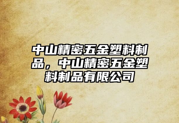 中山精密五金塑料制品，中山精密五金塑料制品有限公司