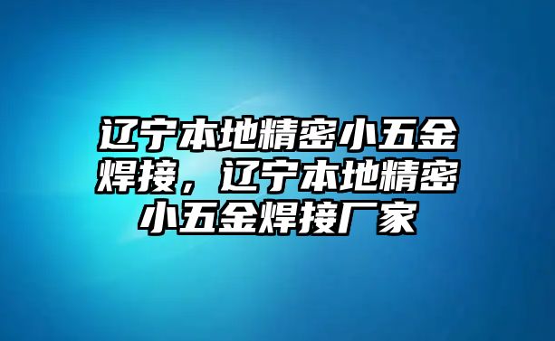 遼寧本地精密小五金焊接，遼寧本地精密小五金焊接廠家