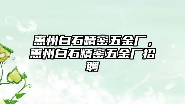 惠州白石精密五金廠，惠州白石精密五金廠招聘