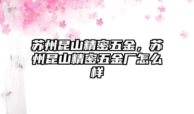 蘇州昆山精密五金，蘇州昆山精密五金廠怎么樣