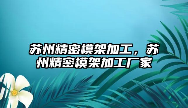 蘇州精密模架加工，蘇州精密模架加工廠家