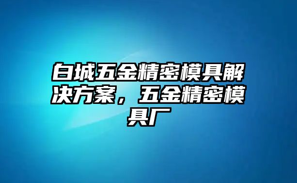 白城五金精密模具解決方案，五金精密模具廠