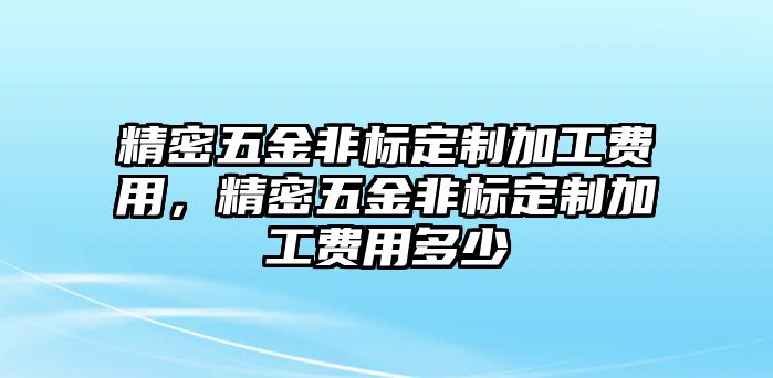 精密五金非標定制加工費用，精密五金非標定制加工費用多少