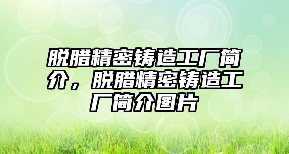 脫臘精密鑄造工廠簡(jiǎn)介，脫臘精密鑄造工廠簡(jiǎn)介圖片