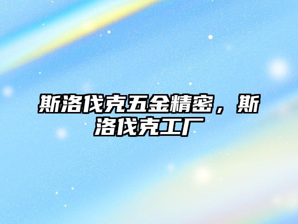 斯洛伐克五金精密，斯洛伐克工廠