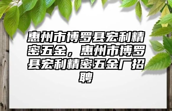 惠州市博羅縣宏利精密五金，惠州市博羅縣宏利精密五金廠招聘