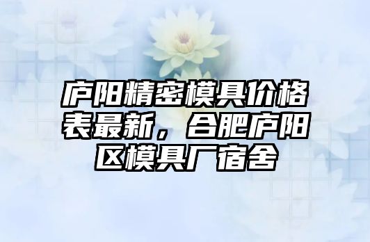 廬陽精密模具價(jià)格表最新，合肥廬陽區(qū)模具廠宿舍