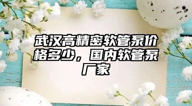 武漢高精密軟管泵價格多少，國內(nèi)軟管泵廠家