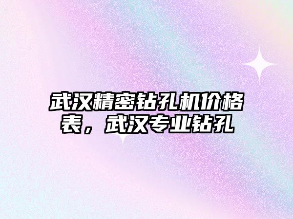 武漢精密鉆孔機價格表，武漢專業(yè)鉆孔