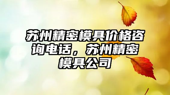 蘇州精密模具價格咨詢電話，蘇州精密模具公司