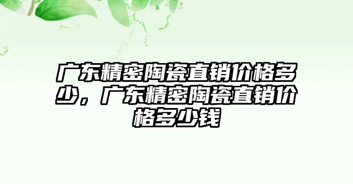 廣東精密陶瓷直銷價(jià)格多少，廣東精密陶瓷直銷價(jià)格多少錢